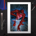 Spider-Man #1: Torment Marvel (Art Print)