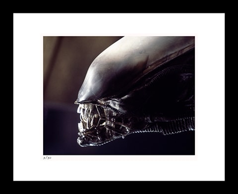 Alien (Art Print)