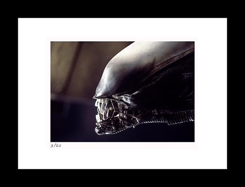Alien (Art Print)