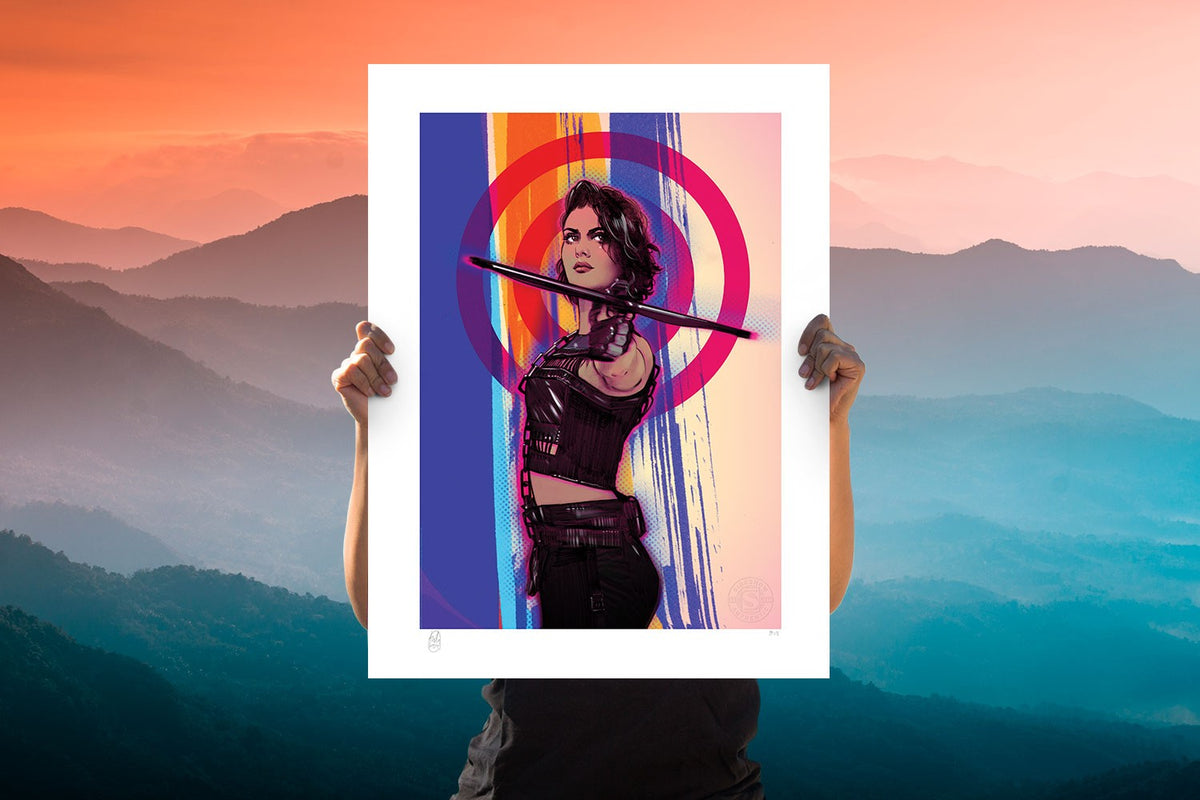 Birds of Prey: Huntress DC (Art Print)
