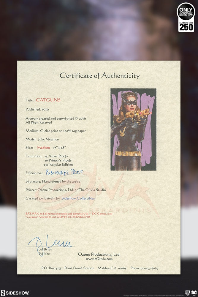 Catguns DC Catwoman (Art Print)