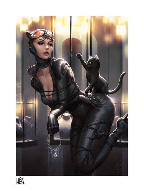 Catwoman: All Tied Up DC (Art Print)