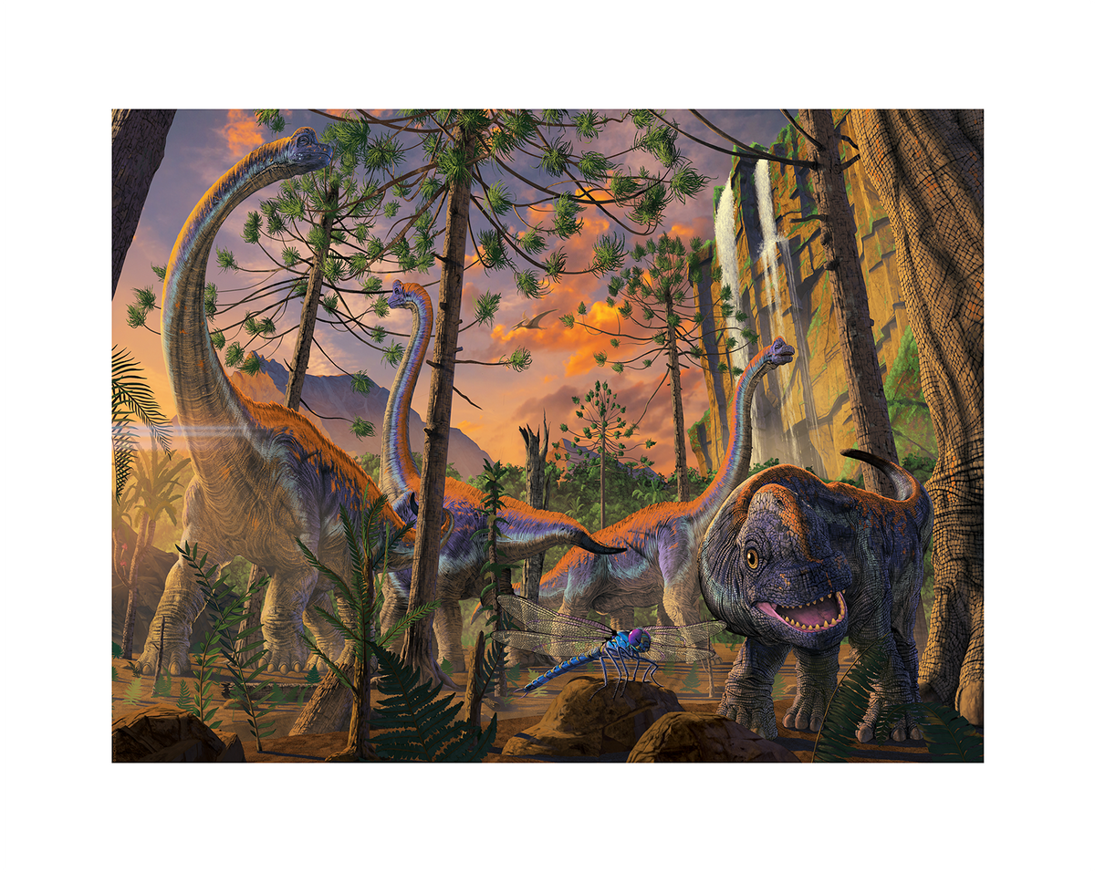 Curious (Art Print)