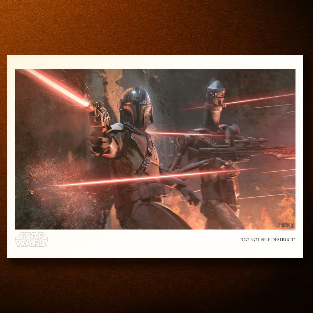 Do Not Self Destruct Star Wars IG-11 The Mandalorian (Art Print)