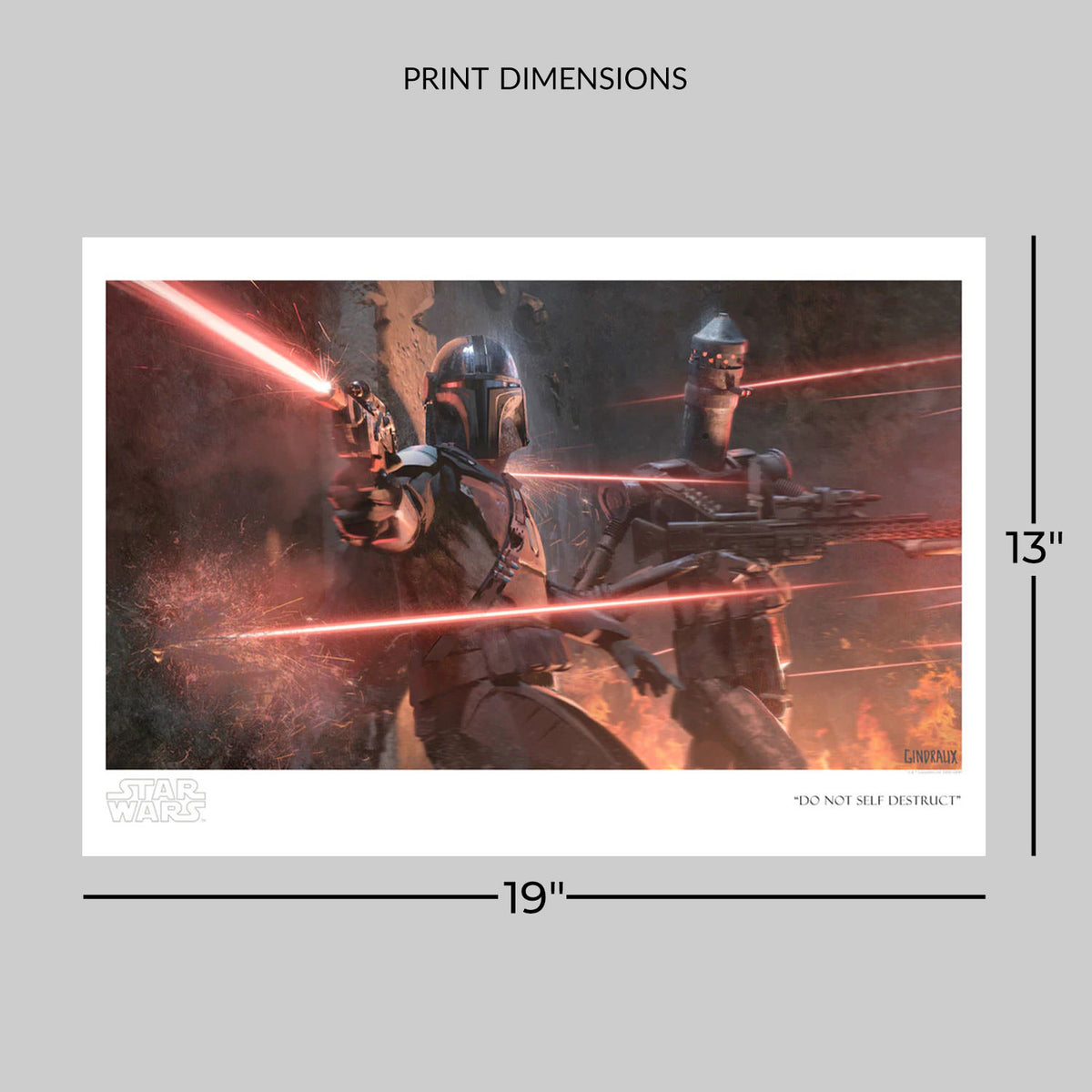 Do Not Self Destruct Star Wars IG-11 The Mandalorian (Art Print)
