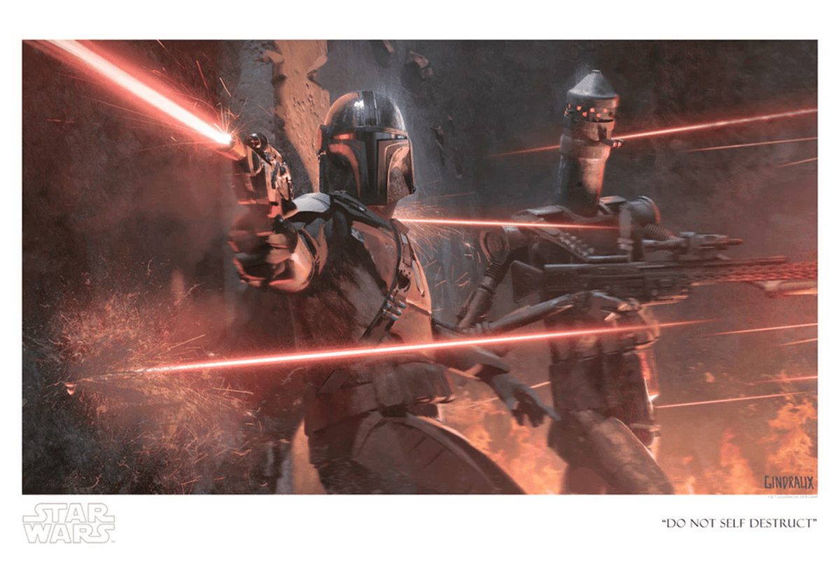 Do Not Self Destruct Star Wars IG-11 The Mandalorian (Art Print)