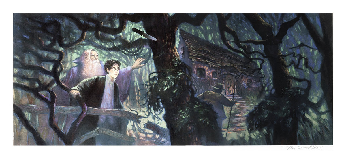 Half-Blood Prince Deluxe Harry Potter Albus Dumbledore Harry Potter (Art Print)
