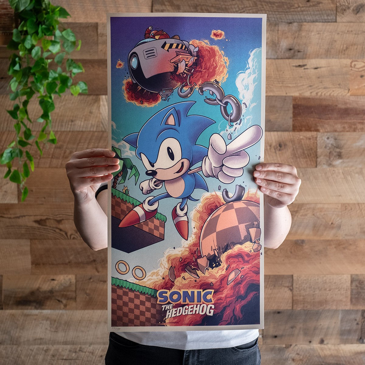 Sonic the Hedgehog (Art Print)