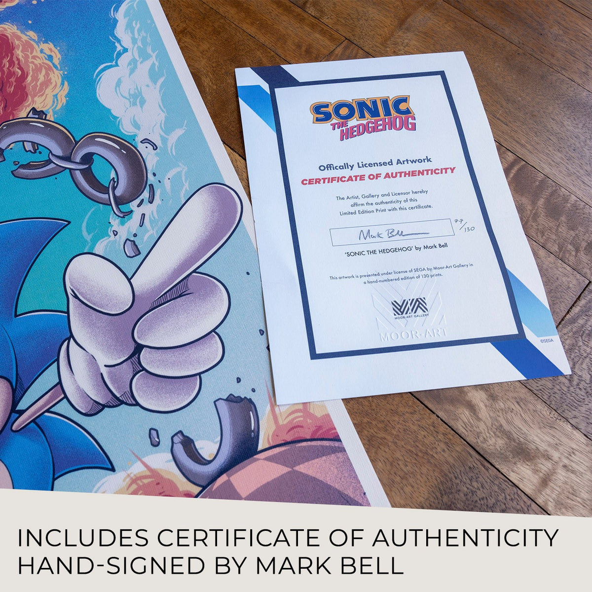 Sonic the Hedgehog (Art Print)
