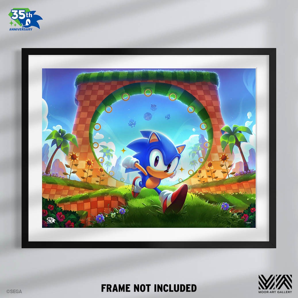 Sonic the Hedgehog: First Loop-de-Loop (Art Print)