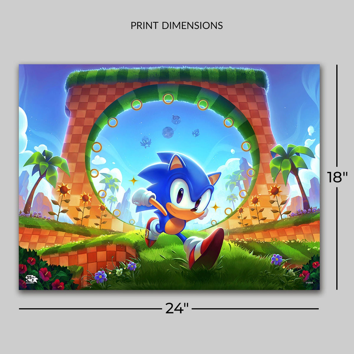 Sonic the Hedgehog: First Loop-de-Loop (Art Print)